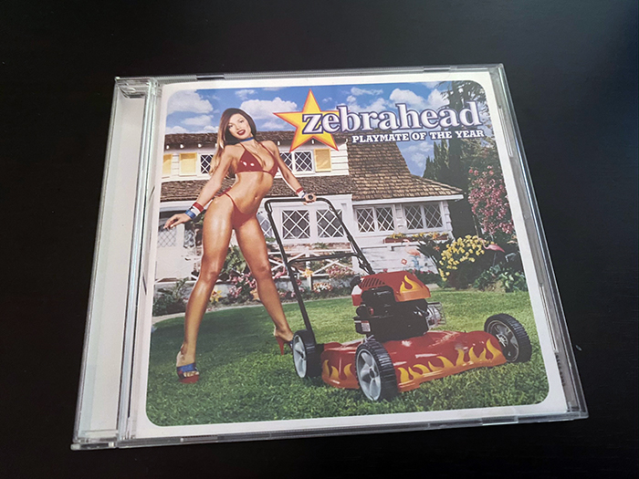 Zebrahead「Playmate of the Year」のジャケット