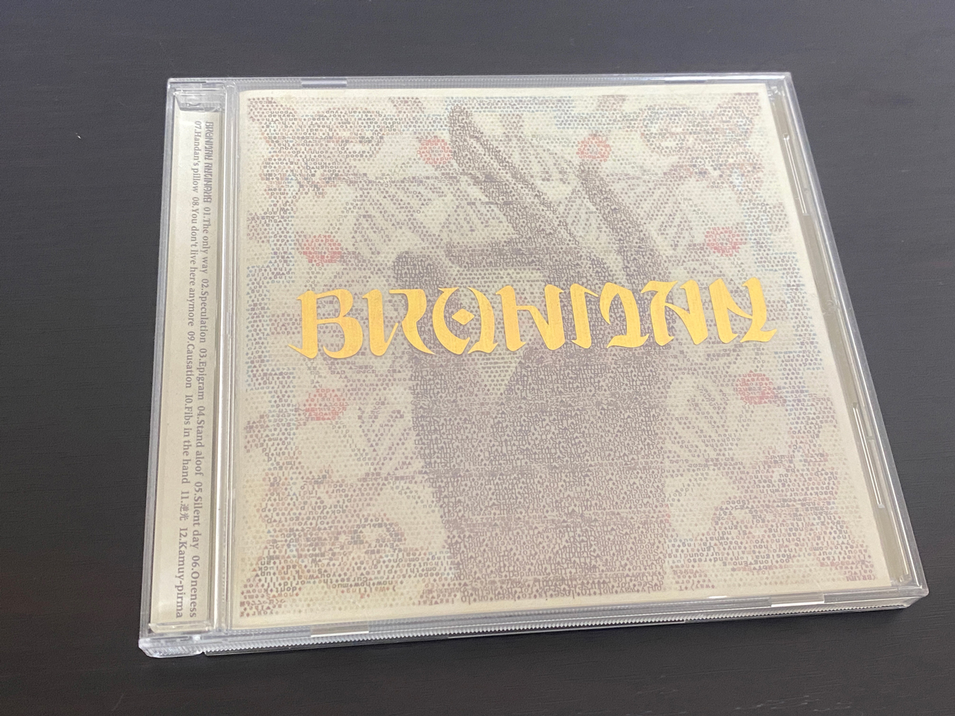 BRAHMAN「ANTINOMY」のジャケット