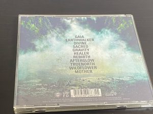 In Hearts Wake「Earthwalker」とは