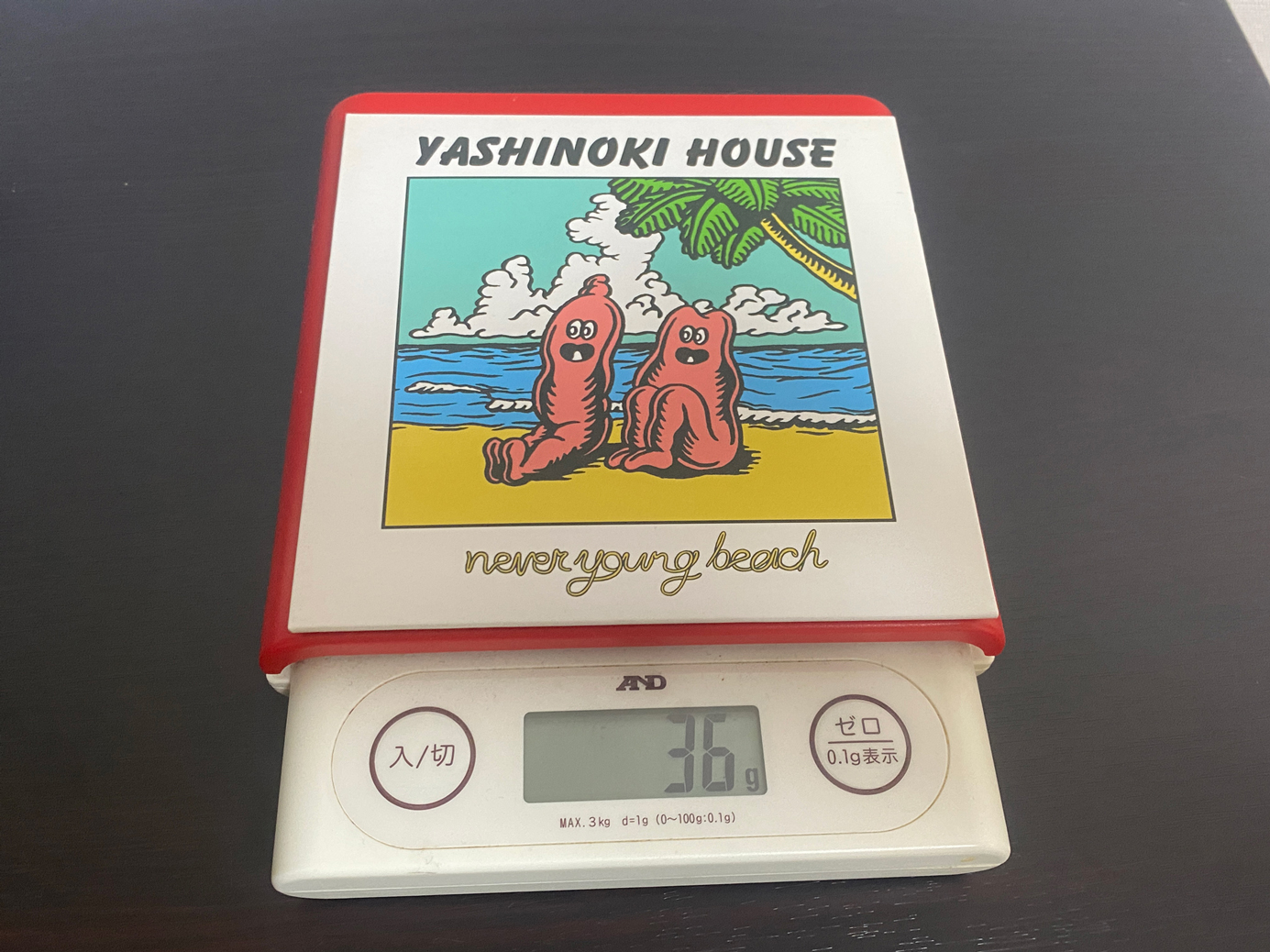 全曲紹介！never young beach「YASHINOKI HOUSE」（ネバーヤングビーチ　ヤシノキハウス）