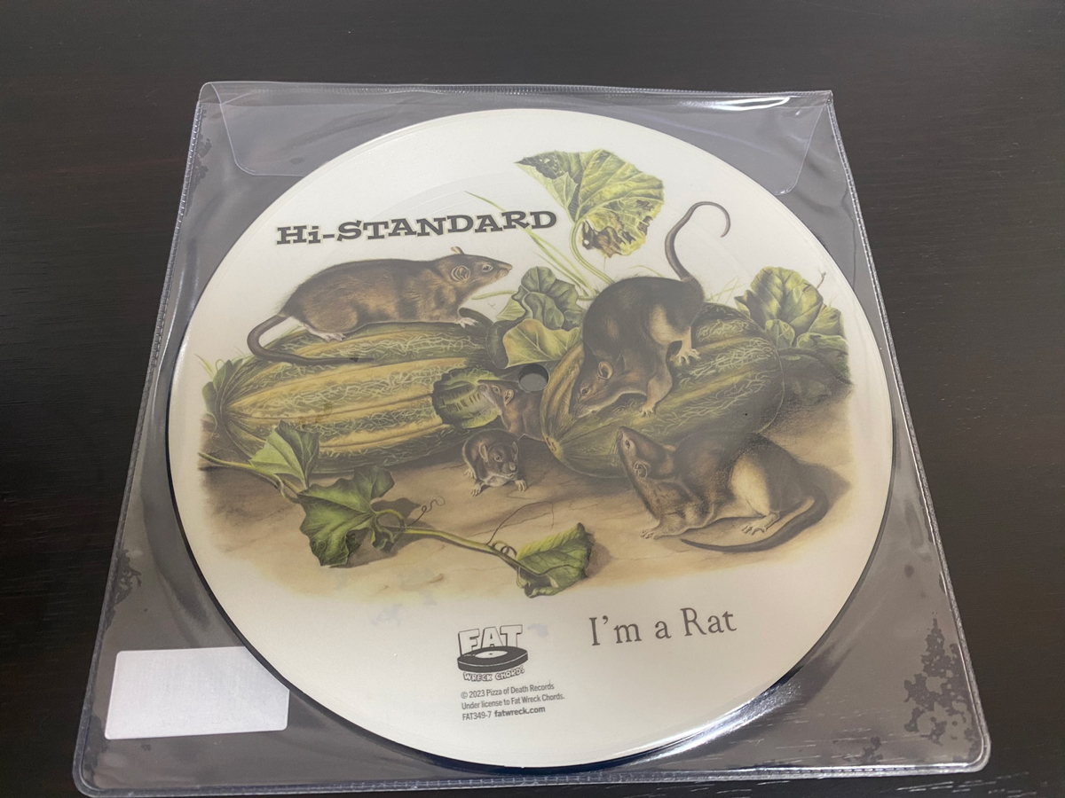 Hi-STANDARD「I’M A RAT」のジャケット レコード盤、アナログ盤