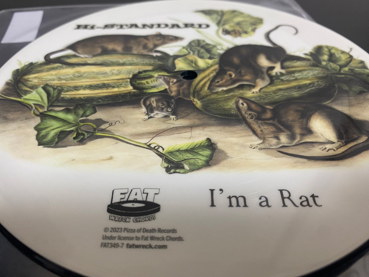 Hi-STANDARD「I’M A RAT」とは レコード盤、アナログ盤